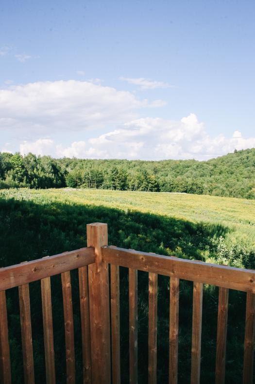 Amazing view from the balcony onto the fields