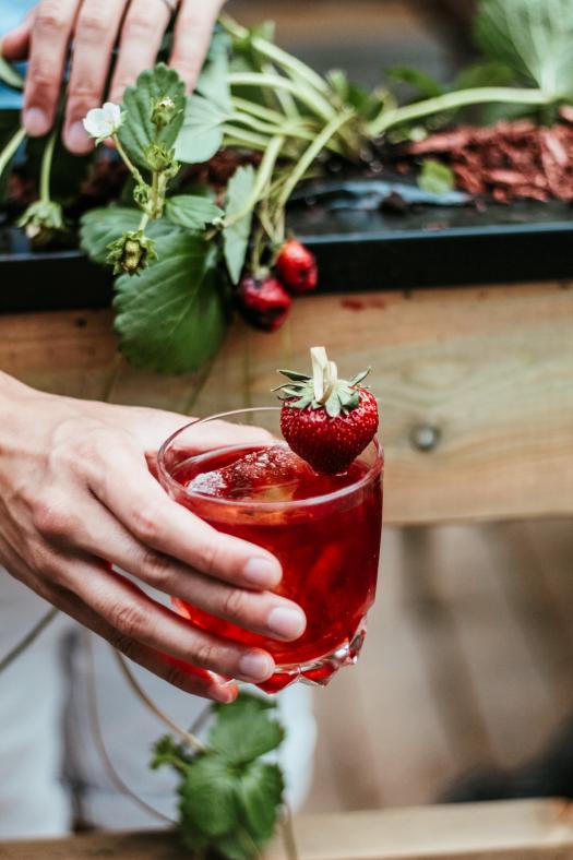 Strawberry negroni